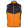 Orange Pepper-Ash - Lifestyle - Regatta Mens Steren Hybrid Soft Shell Jacket