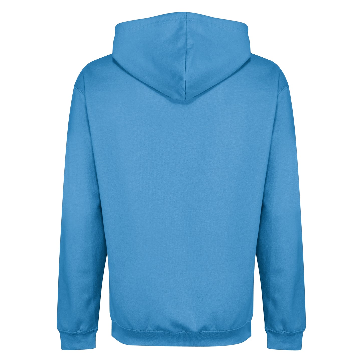 Sky Blue - Back - Regatta Professional Mens Hoodie