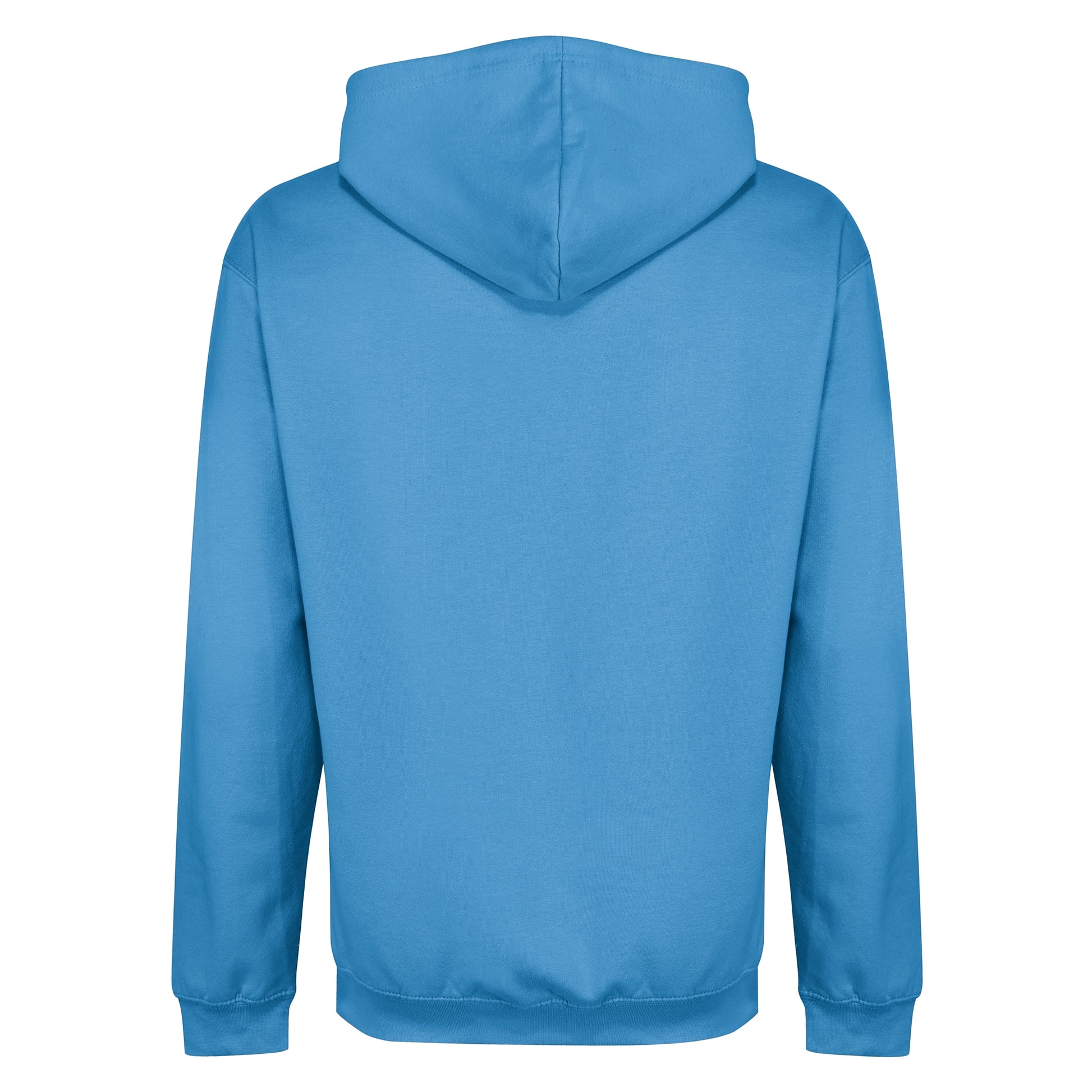 Sky Blue - Back - Regatta Professional Mens Hoodie