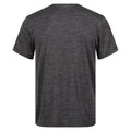 Seal Grey - Back - Regatta Mens Original Moisture Wicking T-Shirt