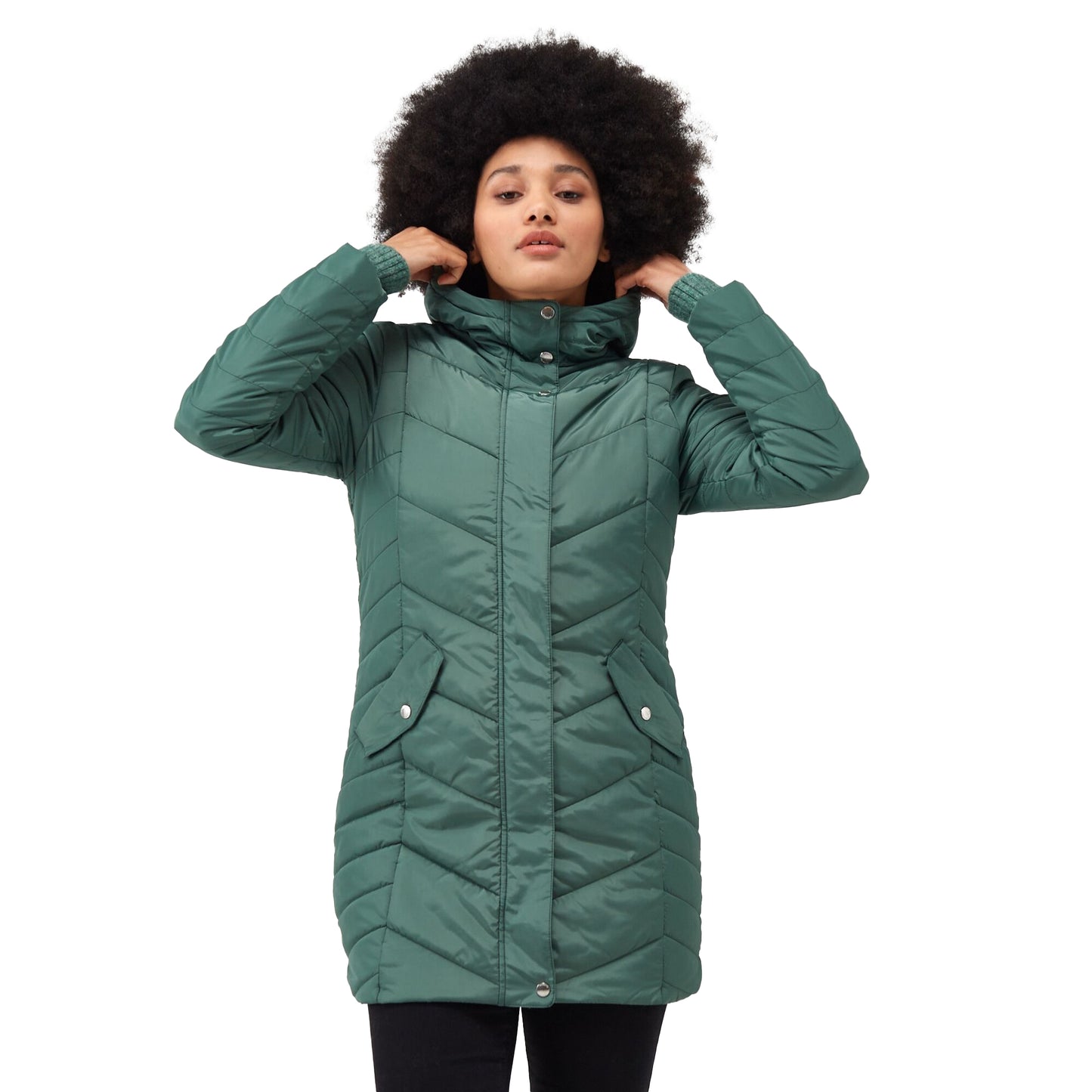 Dark Forest Green - Lifestyle - Regatta Womens-Ladies Panthea Insulated Padded Hooded Jacket