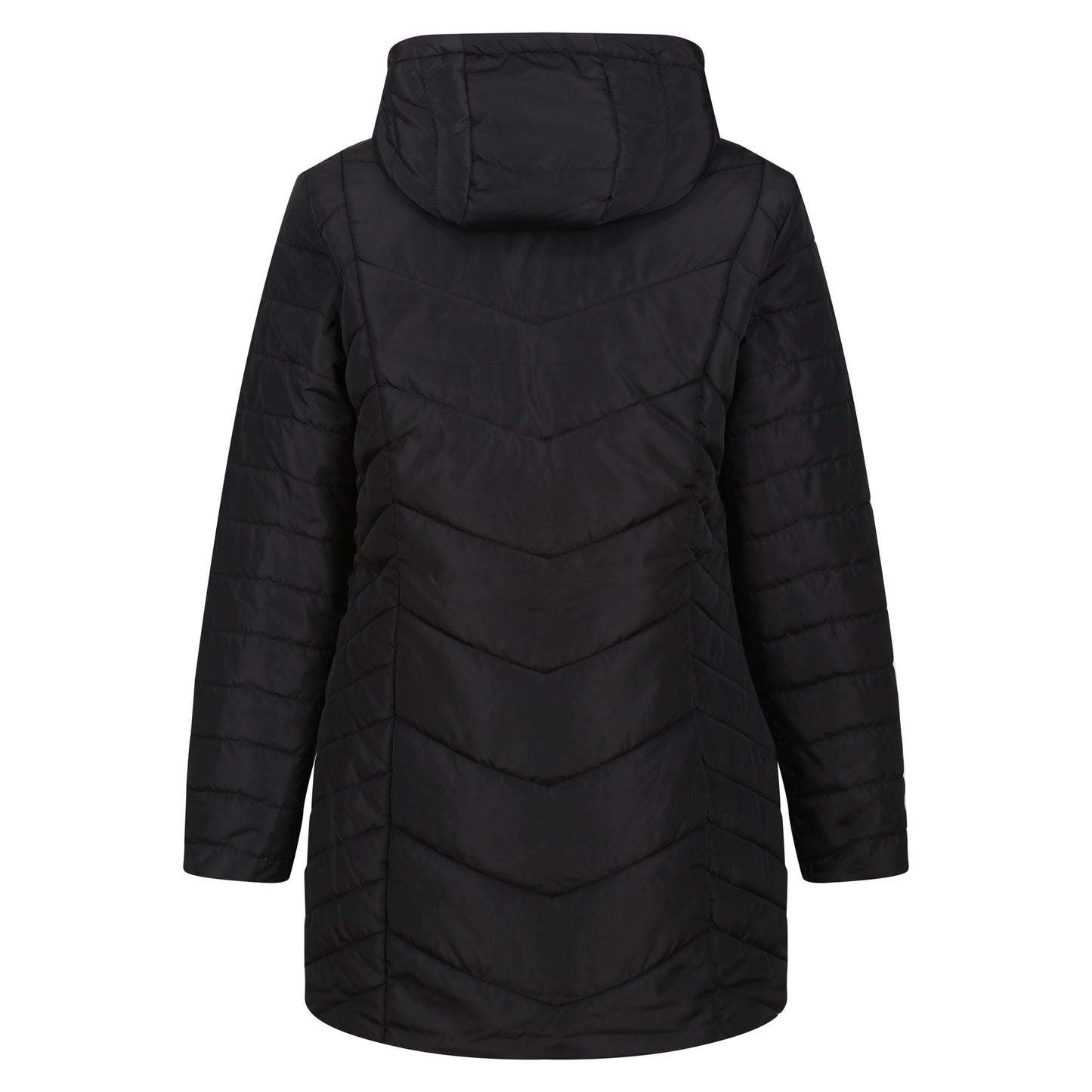 Black - Back - Regatta Womens-Ladies Panthea Insulated Padded Hooded Jacket