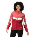 Rumba Red-Mineral Red - Lifestyle - Regatta Womens-Ladies Harrock II Baffled Hooded Jacket