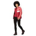 Rumba Red-Mineral Red - Pack Shot - Regatta Womens-Ladies Harrock II Baffled Hooded Jacket