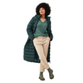 Darkest Spruce - Pack Shot - Regatta Womens-Ladies Elender Baffled Hooded Jacket