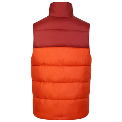 Rooibos Tea-Madder Brown - Back - Dare 2B Mens City Padded Gilet