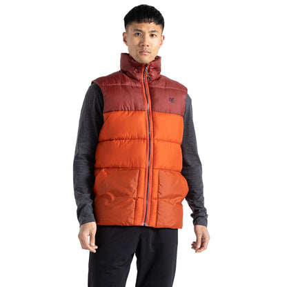 Rooibos Tea-Madder Brown - Pack Shot - Dare 2B Mens City Padded Gilet
