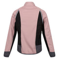 Dusky Rose-Seal Grey - Back - Regatta Womens-Ladies Steren Hybrid Jacket