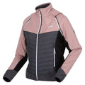 Dusky Rose-Seal Grey - Side - Regatta Womens-Ladies Steren Hybrid Jacket