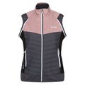 Dusky Rose-Seal Grey - Lifestyle - Regatta Womens-Ladies Steren Hybrid Jacket