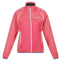 Fruit Dove - Front - Regatta Womens-Ladies Steren Hybrid Jacket