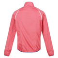 Fruit Dove - Back - Regatta Womens-Ladies Steren Hybrid Jacket