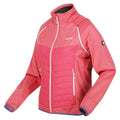 Fruit Dove - Side - Regatta Womens-Ladies Steren Hybrid Jacket