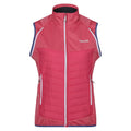 Fruit Dove - Lifestyle - Regatta Womens-Ladies Steren Hybrid Jacket