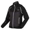 Black - Side - Regatta Womens-Ladies Steren Hybrid Jacket