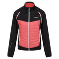 Black-Mineral Red - Front - Regatta Womens-Ladies Steren Hybrid Jacket