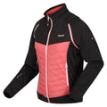 Black-Mineral Red - Side - Regatta Womens-Ladies Steren Hybrid Jacket