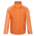 Apricot Crush-Seal Grey - Side - Regatta Childrens-Kids Hydrate VIII 3 In 1 Waterproof Jacket