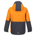 Seal Grey-Orange Pepper - Back - Regatta Childrens-Kids Hydrate VIII 3 in 1 Waterproof Jacket