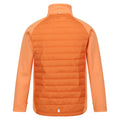 Apricot Crush-Seal Grey - Lifestyle - Regatta Childrens-Kids Hydrate VIII 3 In 1 Waterproof Jacket