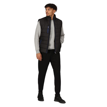 Black-New Royal - Lifestyle - Regatta Professional Mens Thermal Body Warmer