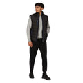 Black-New Royal - Lifestyle - Regatta Professional Mens Thermal Body Warmer