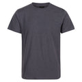Seal Grey - Front - Regatta Mens Pro Cotton Soft Touch T-Shirt