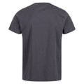 Seal Grey - Back - Regatta Mens Pro Cotton Soft Touch T-Shirt
