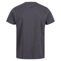 Seal Grey - Back - Regatta Professional Mens Cotton Soft Touch T-Shirt
