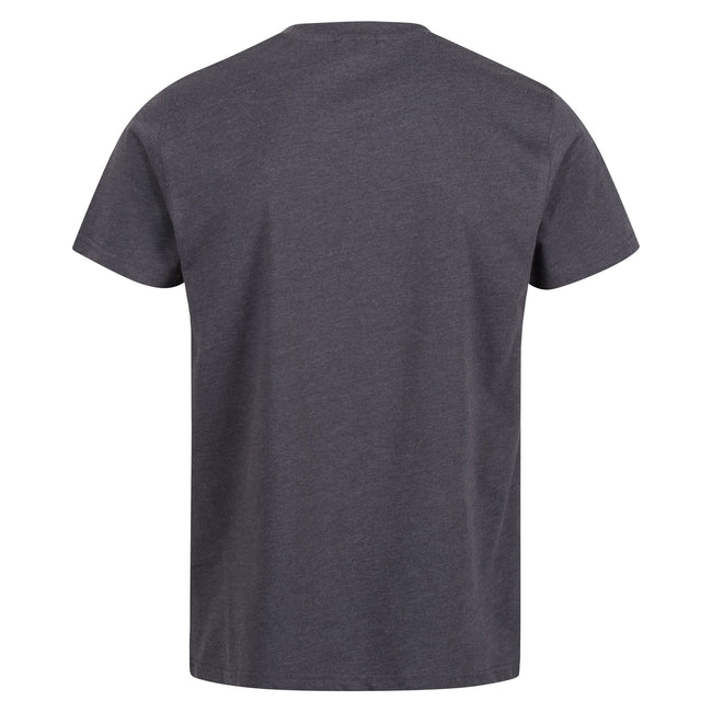 Seal Grey - Back - Regatta Professional Mens Cotton Soft Touch T-Shirt