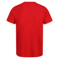 Classic Red - Back - Regatta Mens Pro Cotton Soft Touch T-Shirt