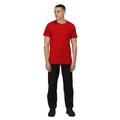 Classic Red - Lifestyle - Regatta Mens Pro Cotton Soft Touch T-Shirt