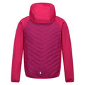 Pink Potion-Berry Pink - Back - Regatta Childrens-Kids Kielder Hybrid VII Padded Jacket