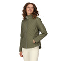 Four Leaf Clover - Pack Shot - Regatta Womens-Ladies Carmine Quilted Padded Jacket