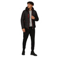 Black-Classic Red - Lifestyle - Regatta Mens Navigate Thermal Padded Jacket