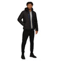 Black-New Royal - Lifestyle - Regatta Mens Navigate Thermal Padded Jacket