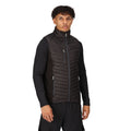 Black-Seal Grey - Side - Regatta Professional Mens Quilted Hybrid Gilet