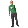 Field Green - Pack Shot - Regatta Childrens-Kids Burnlee Roam Free Graphic Print Marl T-Shirt