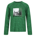 Field Green - Front - Regatta Childrens-Kids Burnlee Roam Free Graphic Print Marl T-Shirt