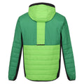 Jasmine Green-Field Green - Back - Regatta Mens Trutton II Baffled Padded Jacket