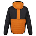 Orange Pepper-Ash - Back - Regatta Mens Trutton II Baffled Padded Jacket