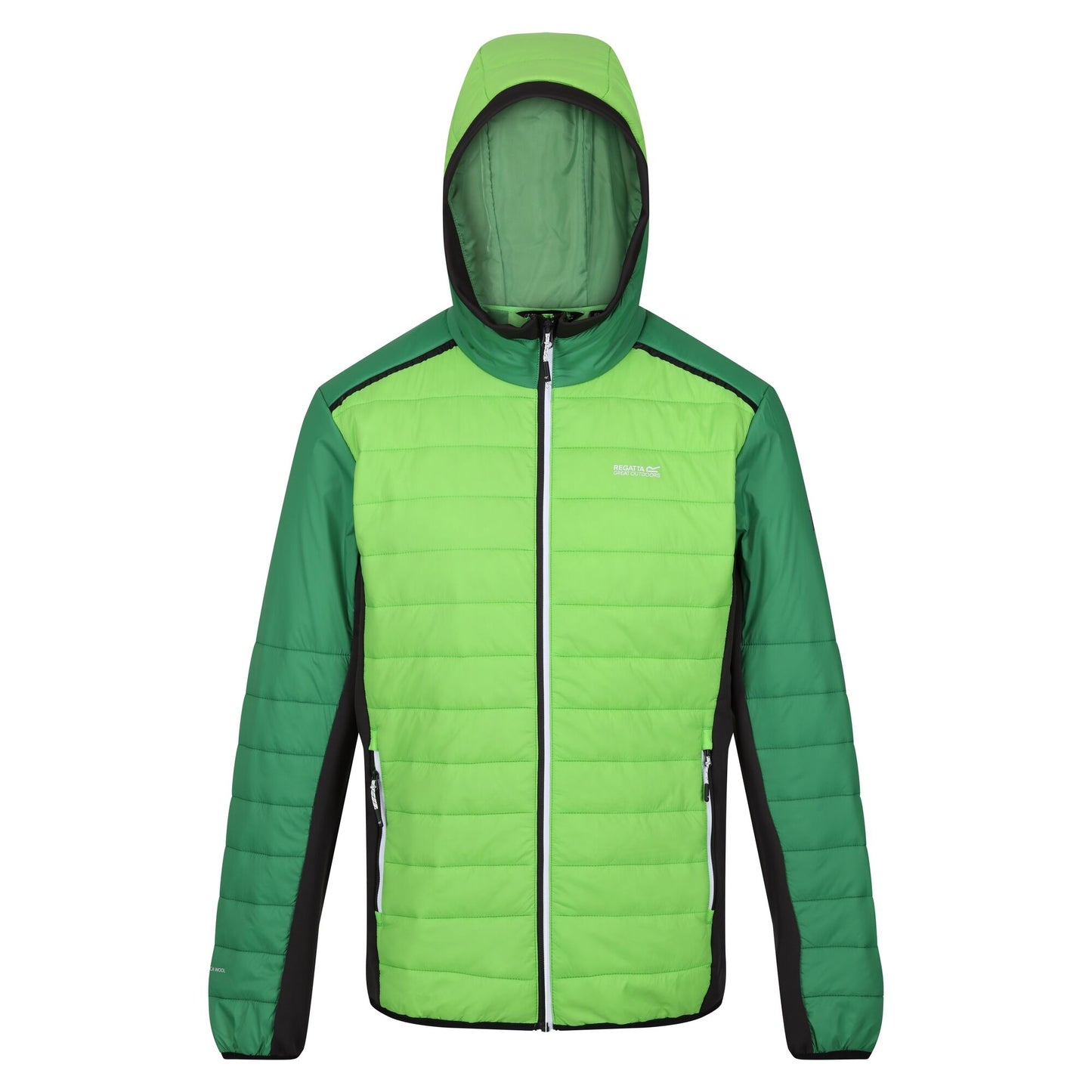 Jasmine Green-Field Green - Front - Regatta Mens Trutton II Baffled Padded Jacket