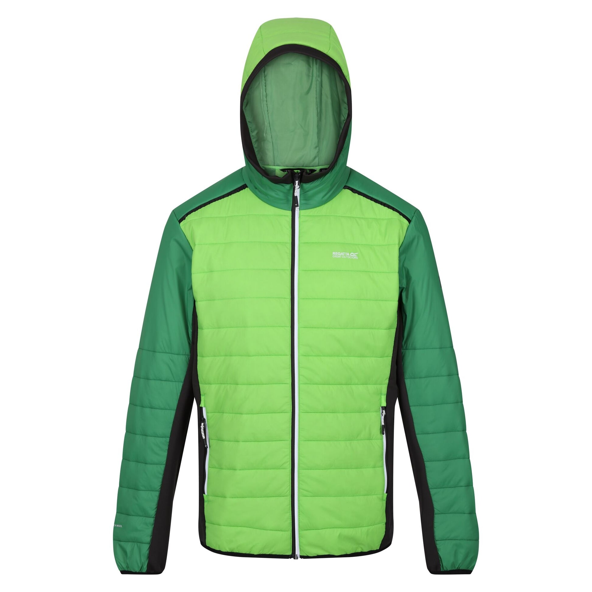 Jasmine Green-Field Green - Front - Regatta Mens Trutton II Baffled Padded Jacket