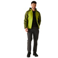 Grenoble Green-Nephrite Green - Pack Shot - Regatta Mens Andreson VIII Hybrid Jacket