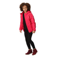 Pink Potion - Pack Shot - Regatta Childrens-Kids Volcanics VII Reflective Waterproof Jacket