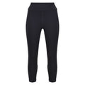 Seal Grey - Front - Regatta Womens-Ladies Holeen Stretch Breathable 3-4 Leggings