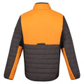 Ash-Orange Pepper - Back - Regatta Mens Halton VII Contrast Panel Baffled Padded Jacket