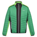 Field Green-Jasmine Green - Front - Regatta Mens Halton VII Contrast Panel Baffled Padded Jacket
