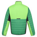 Field Green-Jasmine Green - Back - Regatta Mens Halton VII Contrast Panel Baffled Padded Jacket