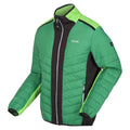 Field Green-Jasmine Green - Side - Regatta Mens Halton VII Contrast Panel Baffled Padded Jacket